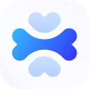 A favicon of Apidog