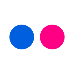 A favicon of Flickr
