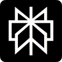 A favicon of Perplexity