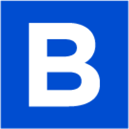 A favicon of Bigcapital