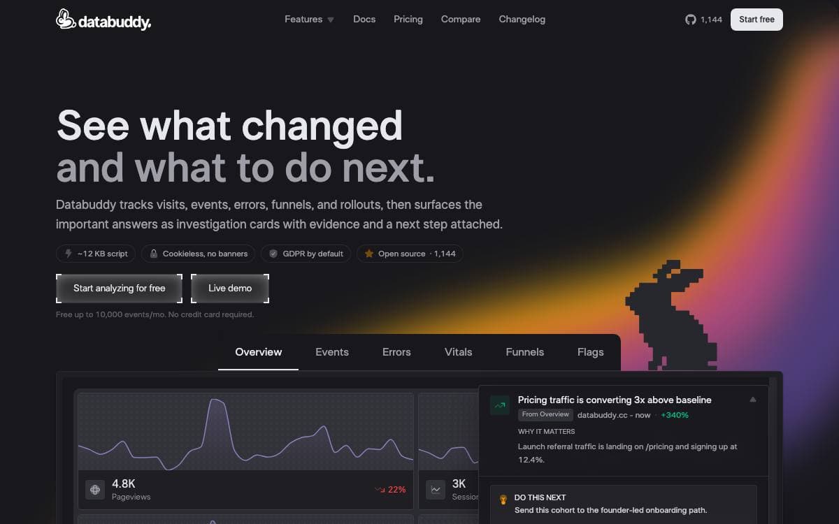 Screenshot of Databuddy website