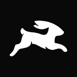 A favicon of Directus