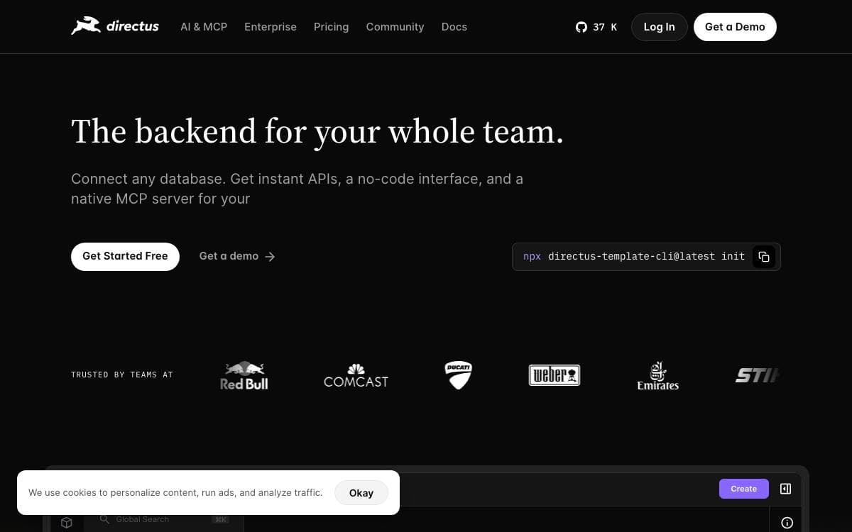 Screenshot of Directus website