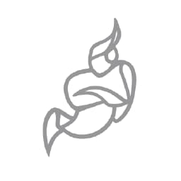 A favicon of Jitsi