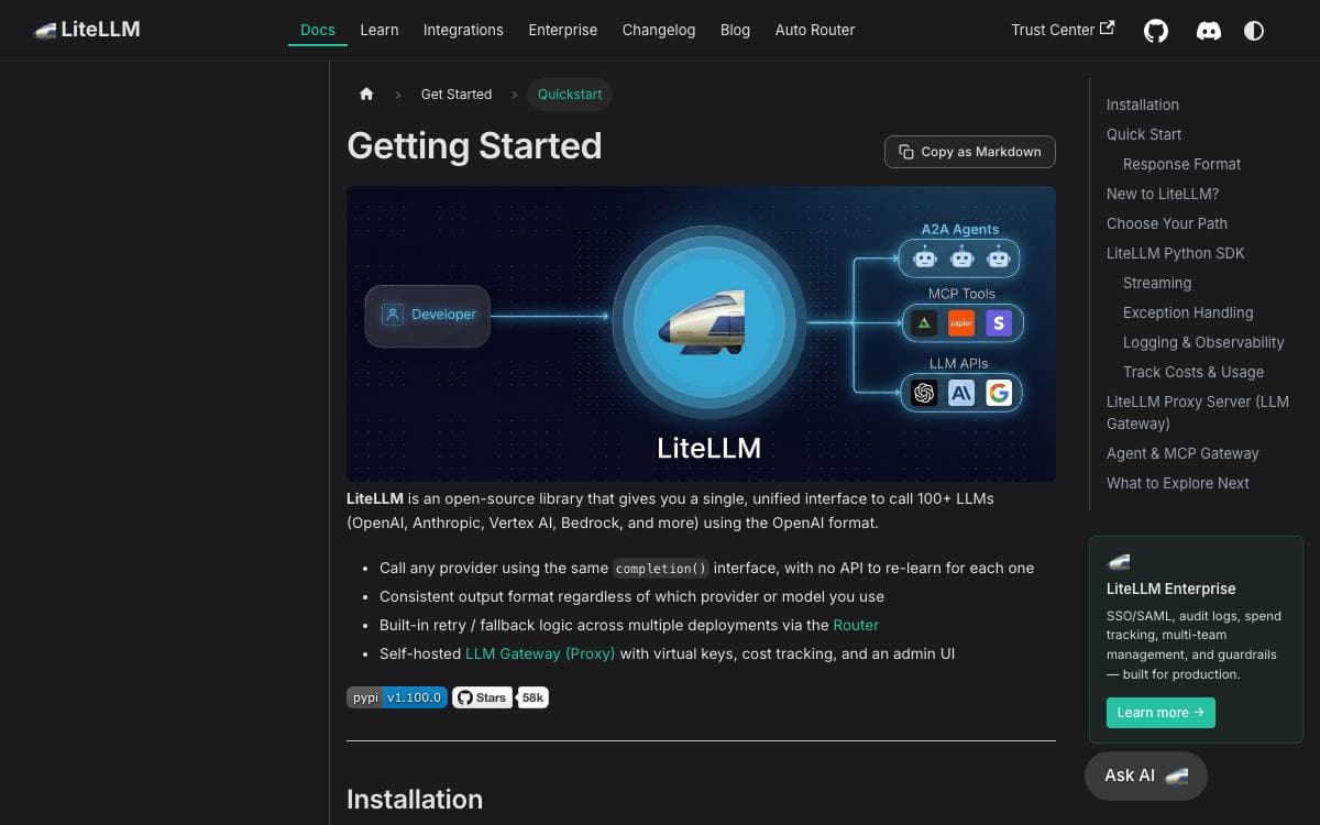 Screenshot of LiteLLM website