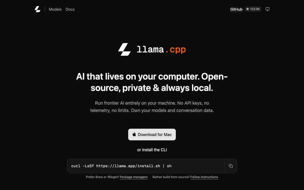 Screenshot of llama.cpp website