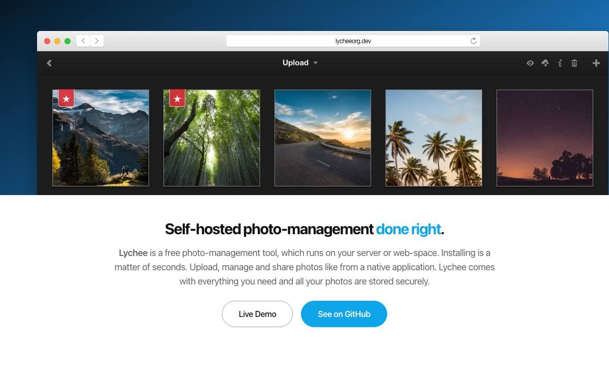 Screenshot of Lychee website