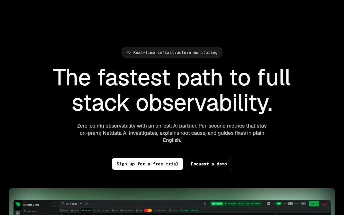 Screenshot of NetData website