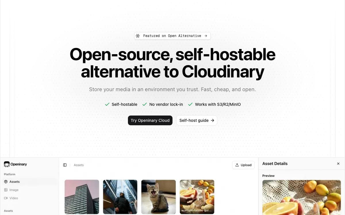 Screenshot of Openinary website