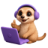 A favicon of Peekaping