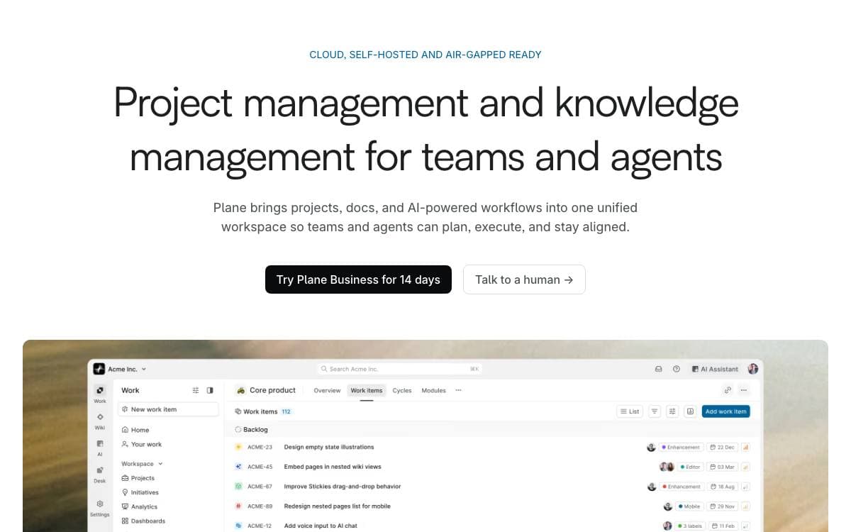 Screenshot of Plane website