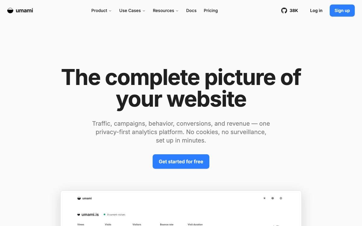Screenshot of Umami website