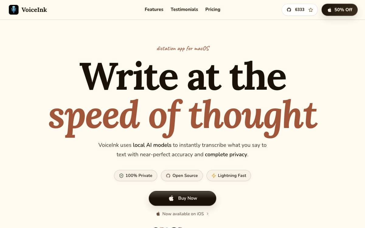 Screenshot of VoiceInk website